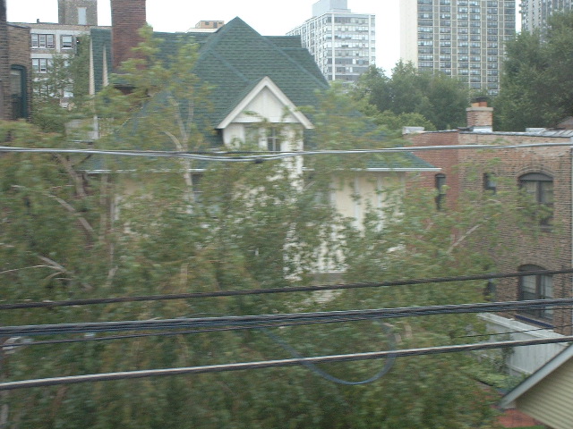 Trees, building from el