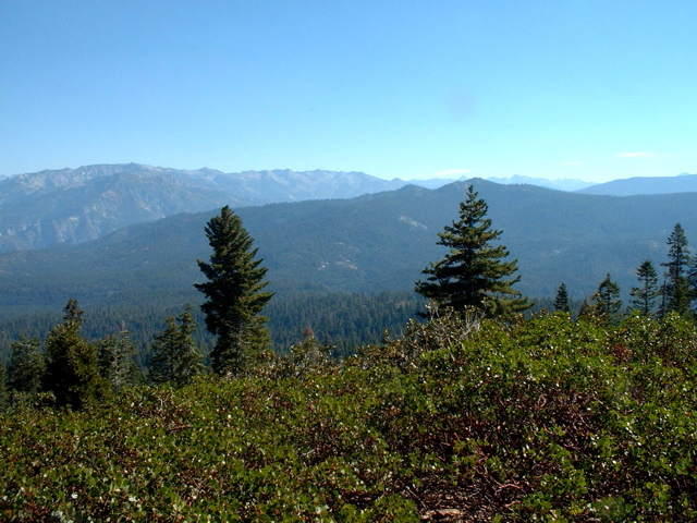 Panoramic View Three