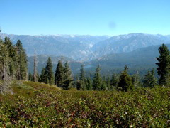 Panoramic View Two