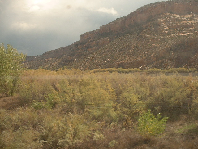 Rocks and weeds