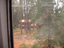 Cabins in the woods