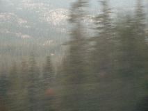 Green blur