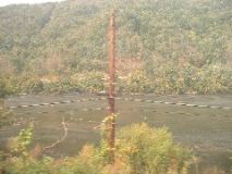 WV river with pole